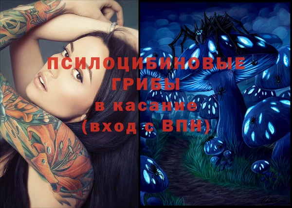 гидра Заволжск