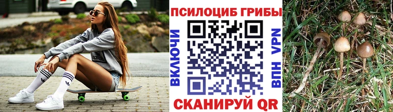 Галлюциногенные грибы Psilocybine cubensis  что такое наркотик  Заполярный 