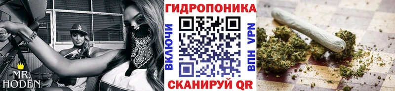 МАРИХУАНА ГИДРОПОН  блэк спрут ONION  Заполярный 